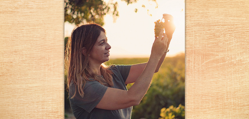 Frau hält Trauben in Sonnenuntergang auf einem Weinberg.