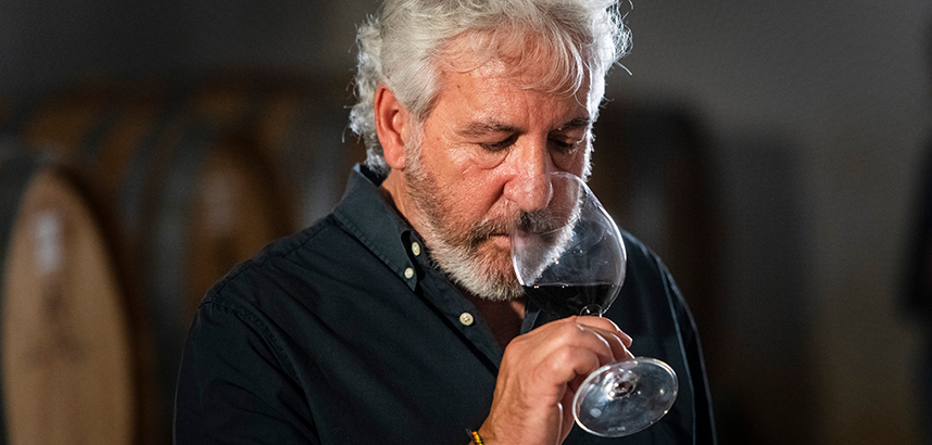 Mann mit Bart riecht an einem Glas Rotwein im Weinkeller.